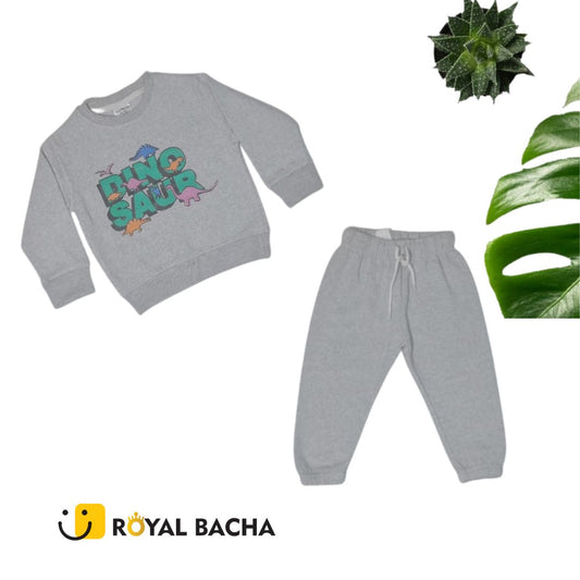 Kids Winter Fleece Track Suit Dinosaur